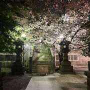 ヒメ日記 2025/03/29 15:50 投稿 夏川 熟女の風俗最終章　鶯谷店