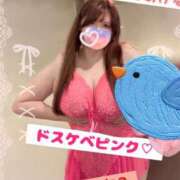 ヒメ日記 2025/09/26 12:36 投稿 りお エンジェルマスカット