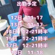 ヒメ日記 2025/10/12 09:41 投稿 りお エンジェルマスカット