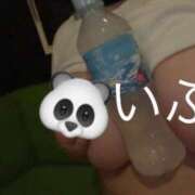 ヒメ日記 2025/07/08 17:31 投稿 いぶき エンジェルマスカット