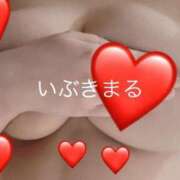 ヒメ日記 2025/07/11 04:11 投稿 いぶき エンジェルマスカット