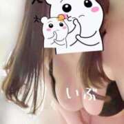 ヒメ日記 2025/07/11 14:51 投稿 いぶき エンジェルマスカット