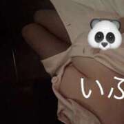 ヒメ日記 2025/07/18 14:51 投稿 いぶき エンジェルマスカット