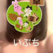 ヒメ日記 2025/09/28 14:11 投稿 いぶき エンジェルマスカット