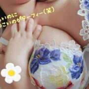 ヒメ日記 2025/10/30 14:10 投稿 あや エンジェルマスカット