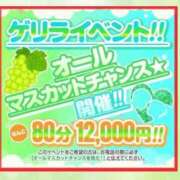 ヒメ日記 2026/06/27 12:21 投稿 なつき エンジェルマスカット