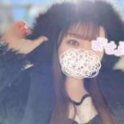 ヒメ日記 2025/02/27 08:11 投稿 はな エンジェルマスカット