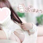 ヒメ日記 2025/03/01 08:21 投稿 はな エンジェルマスカット