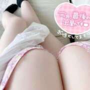 ヒメ日記 2025/03/31 09:41 投稿 はな エンジェルマスカット