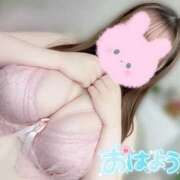 ヒメ日記 2025/04/14 08:11 投稿 はな エンジェルマスカット