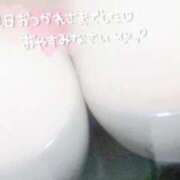 ヒメ日記 2025/05/07 00:01 投稿 はな エンジェルマスカット