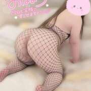 ヒメ日記 2025/05/07 08:21 投稿 はな エンジェルマスカット