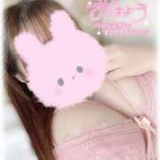 ヒメ日記 2025/05/29 08:21 投稿 はな エンジェルマスカット