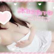 ヒメ日記 2025/06/09 12:51 投稿 はな エンジェルマスカット