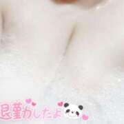 ヒメ日記 2025/06/09 21:51 投稿 はな エンジェルマスカット