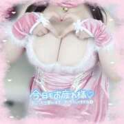 ヒメ日記 2025/07/17 22:41 投稿 はな エンジェルマスカット