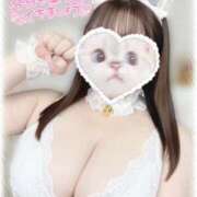 ヒメ日記 2025/08/07 08:11 投稿 はな エンジェルマスカット