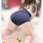 ヒメ日記 2025/08/30 08:11 投稿 はな エンジェルマスカット