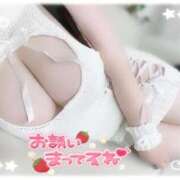 ヒメ日記 2025/09/09 11:31 投稿 はな エンジェルマスカット