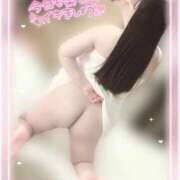 ヒメ日記 2025/12/03 08:11 投稿 はな エンジェルマスカット