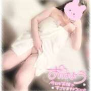 ヒメ日記 2026/01/23 08:01 投稿 はな エンジェルマスカット