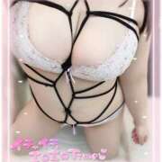 ヒメ日記 2026/02/04 11:41 投稿 はな エンジェルマスカット