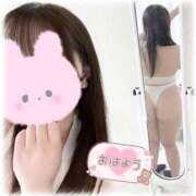 ヒメ日記 2026/02/24 08:01 投稿 はな エンジェルマスカット