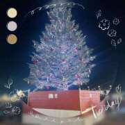 ヒメ日記 2025/12/12 11:41 投稿 さくら エンジェルマスカット