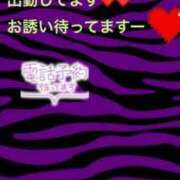 ヒメ日記 2025/08/01 12:53 投稿 みずき Club Paradise（クラブパラダイス）