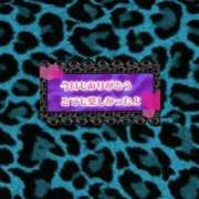 ヒメ日記 2025/08/02 14:04 投稿 みずき Club Paradise（クラブパラダイス）