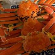 ヒメ日記 2026/03/09 02:46 投稿 風間美香 五十路マダム 岐阜店