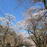 ヒメ日記 2026/04/02 16:04 投稿 風間美香 五十路マダム 岐阜店