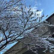 ヒメ日記 2025/02/23 09:45 投稿 マリ 金瓶梅(きんぺいぱい)(雄琴)