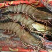 ヒメ日記 2025/02/28 15:57 投稿 マリ 金瓶梅(きんぺいぱい)(雄琴)