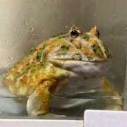 ヒメ日記 2025/02/28 16:13 投稿 マリ 金瓶梅(きんぺいぱい)(雄琴)