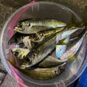 ヒメ日記 2025/03/03 22:34 投稿 マリ 金瓶梅(きんぺいぱい)(雄琴)