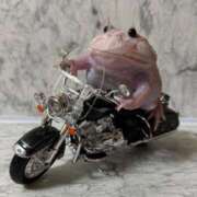 ヒメ日記 2025/03/22 14:49 投稿 マリ 金瓶梅(きんぺいぱい)(雄琴)