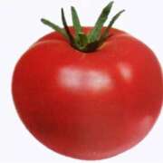 ヒメ日記 2025/05/10 21:15 投稿 マリ 金瓶梅(きんぺいぱい)(雄琴)