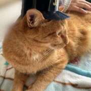 ヒメ日記 2025/05/18 09:12 投稿 マリ 金瓶梅(きんぺいぱい)(雄琴)