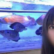 ヒメ日記 2025/05/25 09:25 投稿 マリ 金瓶梅(きんぺいぱい)(雄琴)