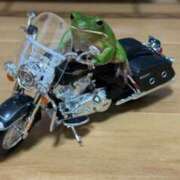 ヒメ日記 2025/06/03 16:44 投稿 マリ 金瓶梅(きんぺいぱい)(雄琴)