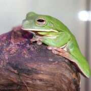 ヒメ日記 2025/07/29 14:14 投稿 マリ 金瓶梅(きんぺいぱい)(雄琴)