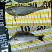 ヒメ日記 2025/08/15 12:44 投稿 マリ 金瓶梅(きんぺいぱい)(雄琴)