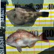 ヒメ日記 2025/08/15 13:44 投稿 マリ 金瓶梅(きんぺいぱい)(雄琴)