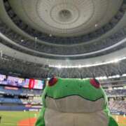 ヒメ日記 2025/09/06 15:27 投稿 マリ 金瓶梅(きんぺいぱい)(雄琴)