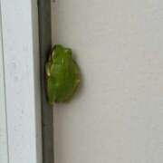 ヒメ日記 2025/09/10 19:37 投稿 マリ 金瓶梅(きんぺいぱい)(雄琴)