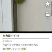 ヒメ日記 2025/09/10 22:58 投稿 マリ 金瓶梅(きんぺいぱい)(雄琴)