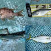 ヒメ日記 2025/09/26 09:36 投稿 マリ 金瓶梅(きんぺいぱい)(雄琴)