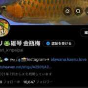 ヒメ日記 2025/10/04 20:04 投稿 マリ 金瓶梅(きんぺいぱい)(雄琴)