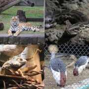 ヒメ日記 2025/11/27 15:32 投稿 マリ 金瓶梅(きんぺいぱい)(雄琴)